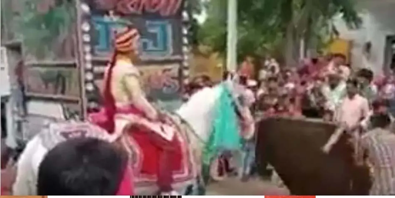  ବରକୁ ବସାଇ ୪କିମି ପର୍ଯ୍ୟନ୍ତ ଦୌଡ଼ି ପଳାଇଲା ଘୋଡା !