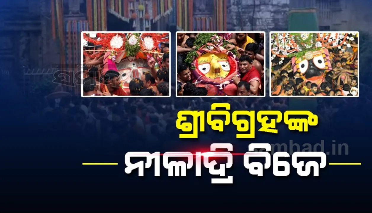  ଶ୍ରୀଜିଉଙ୍କ ନୀଳାଦ୍ରି ବିଜେ: ଗୋଟି ପହଣ୍ଡିରେ ରତ୍ନବେଦୀକୁ ଯାଉଛନ୍ତି ମହାପ୍ରଭୁ