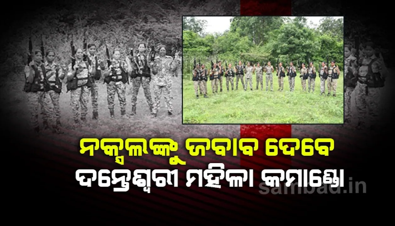  ନକ୍ସଲଙ୍କୁ ଜବାବ ଦେବେ ଦନ୍ତେଶ୍ବରୀ ମହିଳା କମାଣ୍ଡୋ