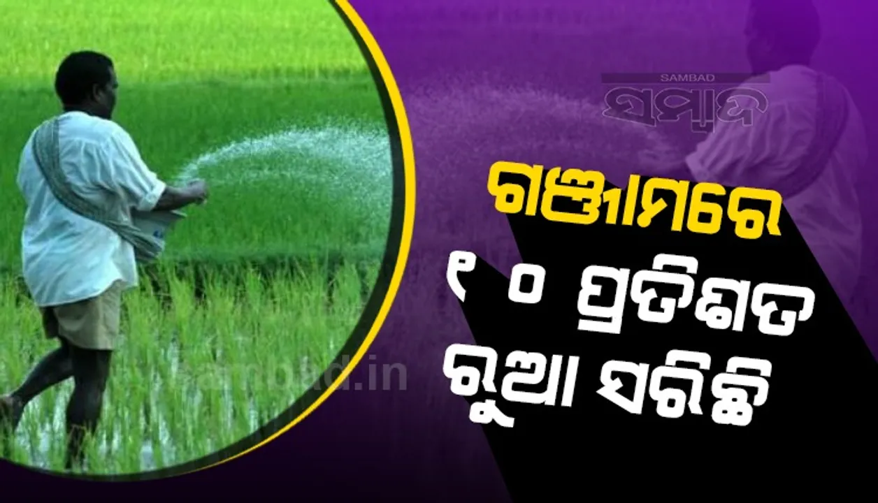 କଳାବଜାର ରୋକିବାକୁ ବ୍ଲକସ୍ତରରେ ସ୍କ୍ବାଡ଼୍ ଗଠନ; ହେକ୍ଟର୍ ପିଛା ୪୪ କ୍ବିଣ୍ଟାଲ୍ ଧାନ ଅମଳ ଲକ୍ଷ୍ୟ