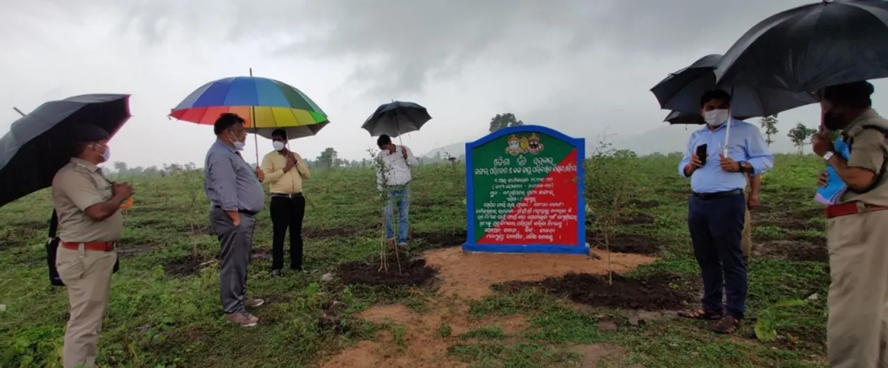  ଶ୍ରୀକ୍ଷେତ୍ର ରଥକାଠ ପାଇଁ ଲାଗିଲା ୧୩ ହଜାର ଚାରା