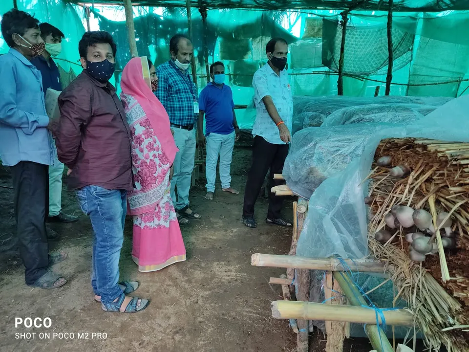  ଭଞ୍ଜନଗରରେ ରାଜ୍ୟ କୃଷି ବିଭାଗର ଯୁଗ୍ମ ସଚିବ, ବିଭିନ୍ନ ପ୍ରକଳ୍ପ ବୁଲି ଦେଖିଲେ