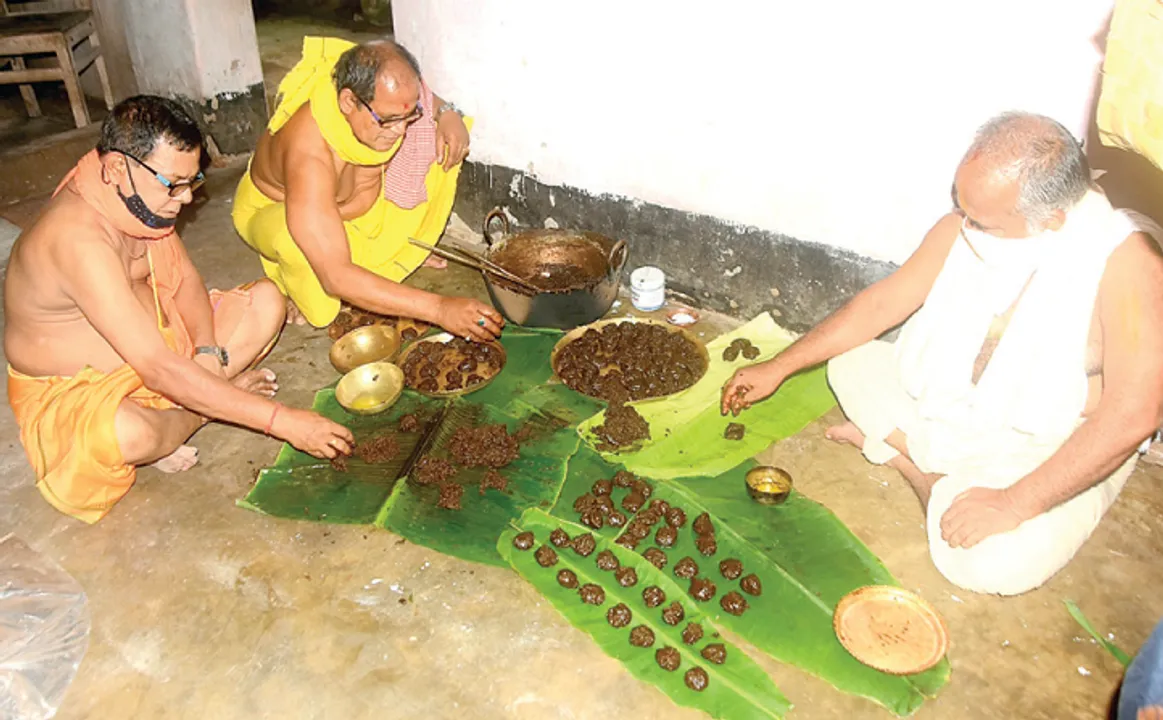  ଦଶମୂଳର ଇତିବୃତ୍ତି