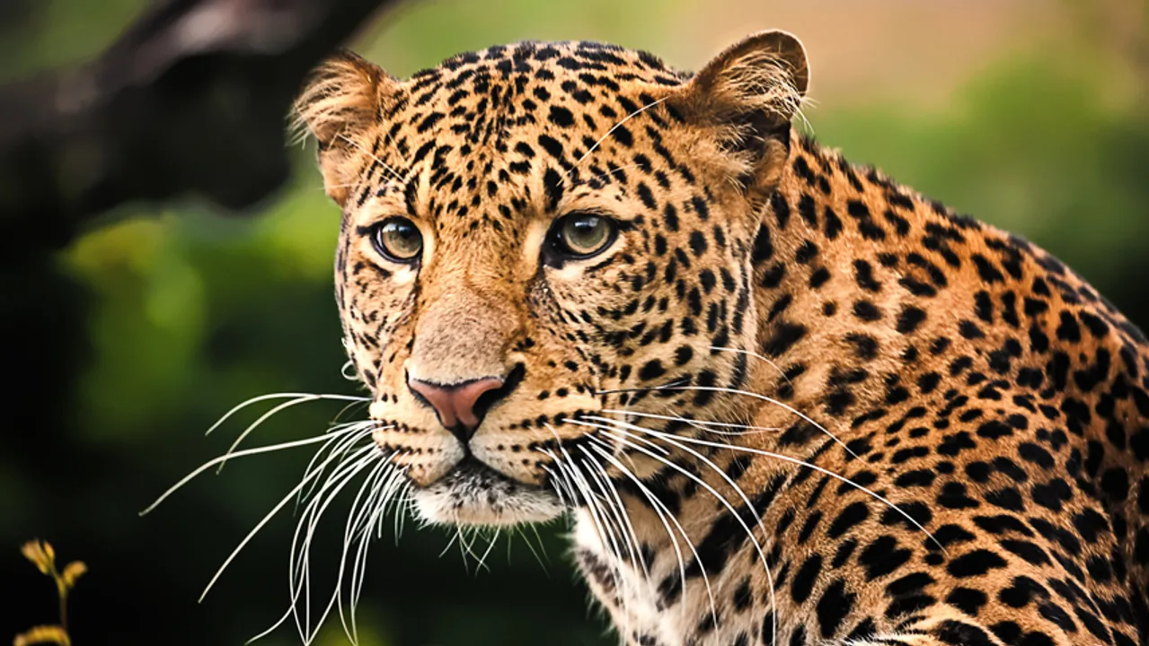  Tierpark Berlin 