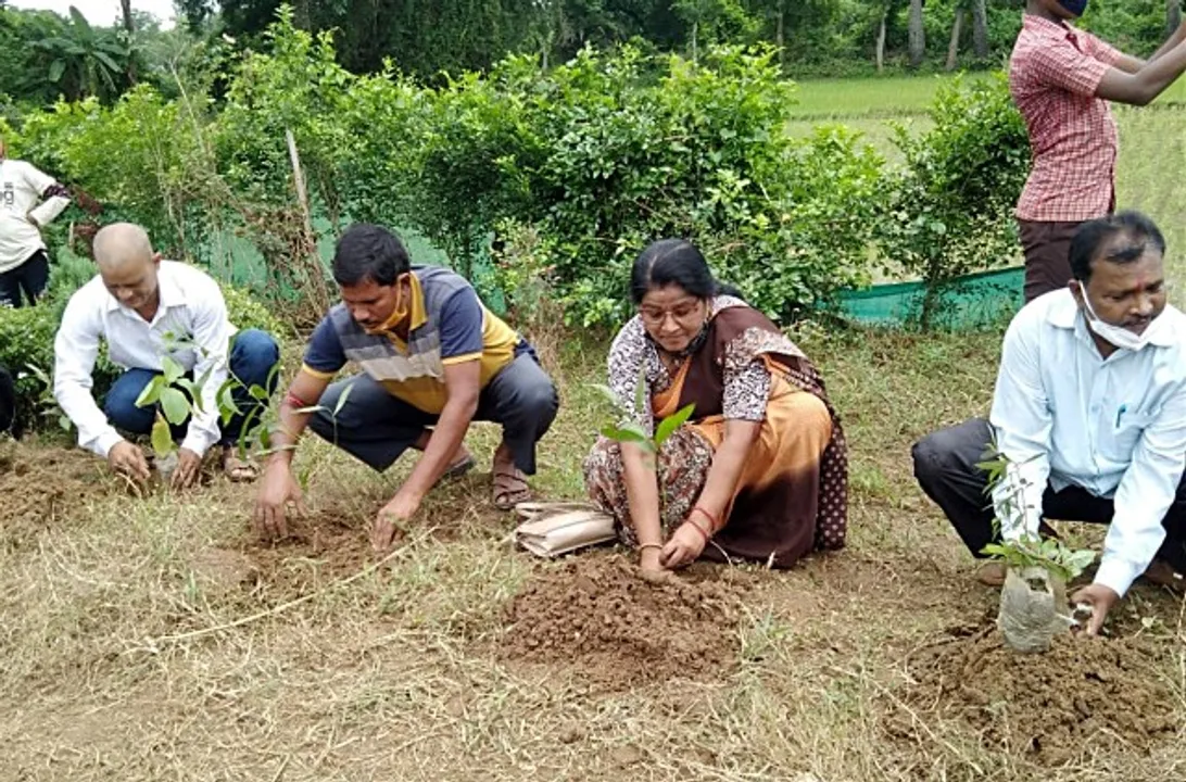  ରେମୁଣା ସମ୍ବାଦ ସାହିତ୍ୟ ଘର ପକ୍ଷରୁ ବୃକ୍ଷରୋପଣ