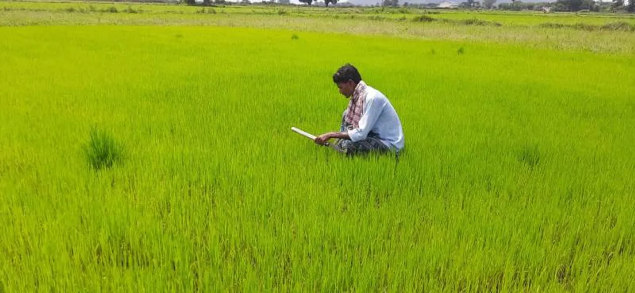  Sambad 