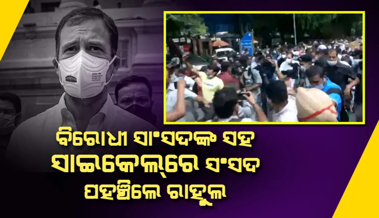  ତୈଳ ଦଳ ବୃଦ୍ଧିକୁ ନେଇ ସାଇକେଲ ରାଲି କରି ବିରୋଧୀ ସାଂସଦଙ୍କ ସହ ସଂସଦରେ ପହଞ୍ଚିଲେ କଂଗ୍ରେସ ନେତା ରାହୁଲ ଗାନ୍ଧୀ