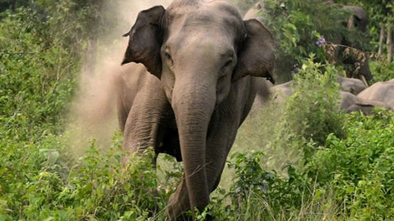  Kerala Kaumudi 