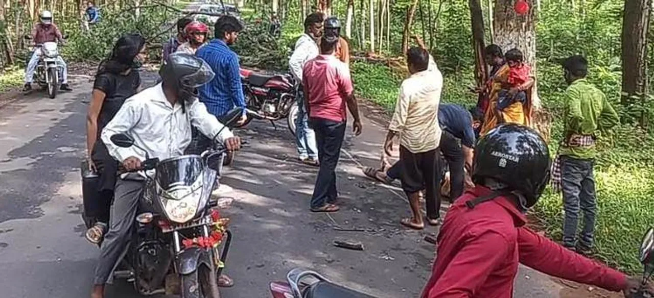  ବାଇକ୍ ଉପରେ ଗଛ ପଡ଼ି ଦମ୍ପତି ଓ ପୁଅ ଗୁରୁତର