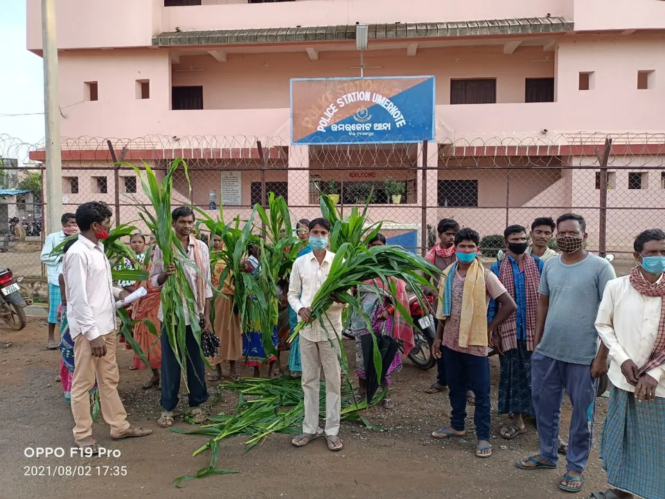  ଦୀର୍ଘ ଦିନର ଜମି ବିବାଦ ନେଲା ଉଗ୍ର ରୂପ : ଗୋଟିଏ ଗ୍ରାମର ଲୋକ ନଷ୍ଟ କରିଦେଲେ ଅନ୍ୟ ଗାଁର ମକା ଫସଲ