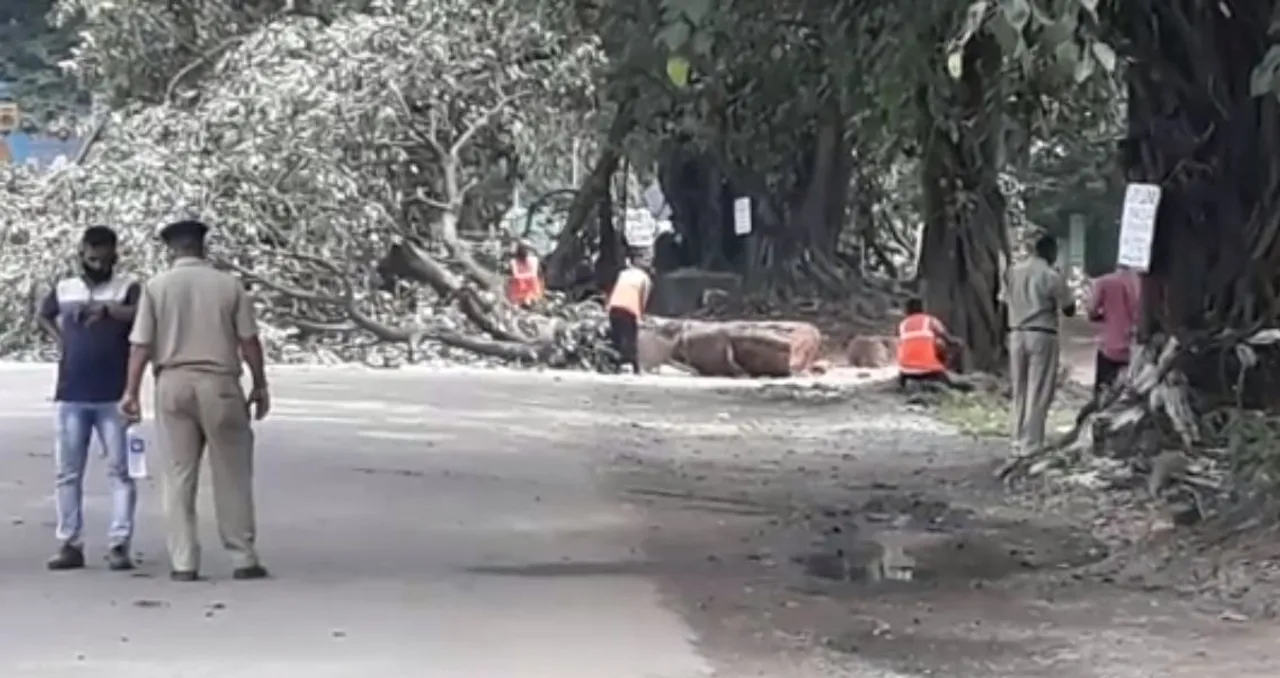  ବେଲପାହାଡ଼ ପୌରାଞ୍ଚଳରେ ଗଛ କଟାକୁ ଲୋକଙ୍କ ବିରୋଧ, ୮ ଅଟକ