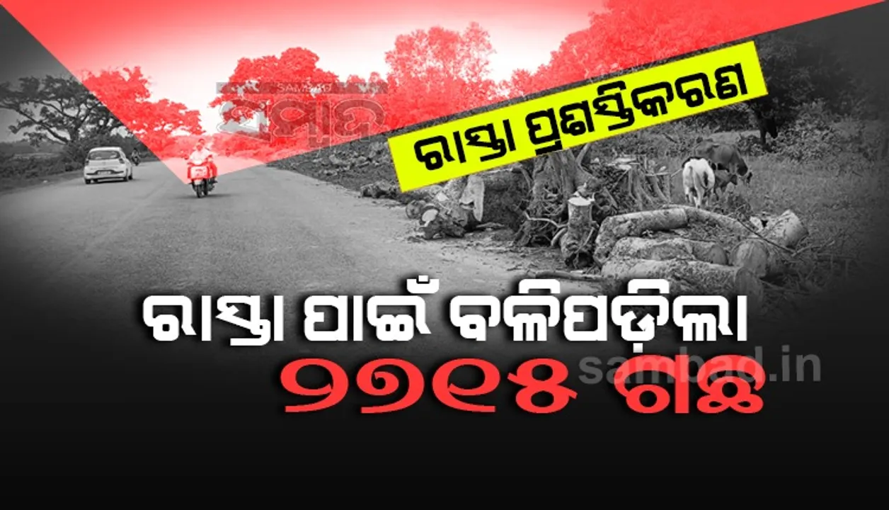  ୪୮ କିଲୋମିଟର ଜାତୀୟ ରାଜପଥ ପ୍ରଶସ୍ତିକରଣ ପାଇଁ କଟାଗଲା ୨୭୧୫ ଗଛ, ନୂଆ ଗଛ ଲାଗିବ କେବେ? 