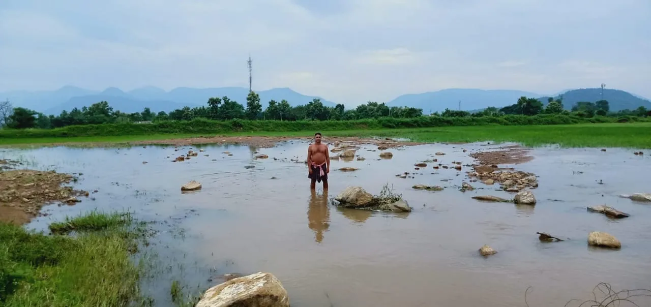  ବୌଦ୍ଧ: ପ୍ରବଳ ବ‌ର୍ଷାରେ ପୋଖରୀ ଘାଇ ଭାଙ୍ଗି ବ୍ୟାପକ ଚାଷଜମି ଜଳମଗ୍ନ