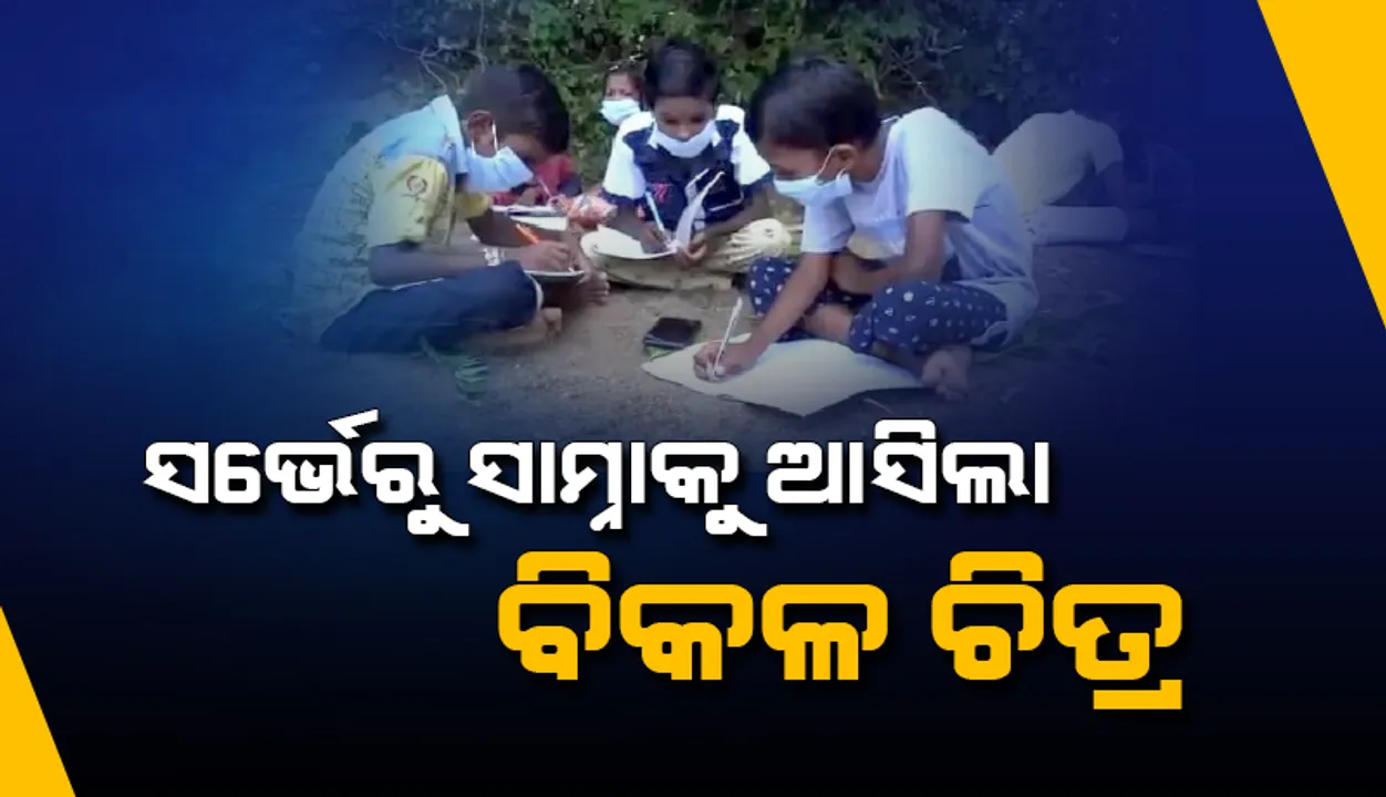  ସର୍ଭେରୁ ସାମ୍ନାକୁ ଆସିଲା ବିକଳ ଚିତ୍ର: ଅନ୍‌ଲାଇନ୍‌ ପାଠ ପଢି ପାରୁନାହାନ୍ତି ୩୭%