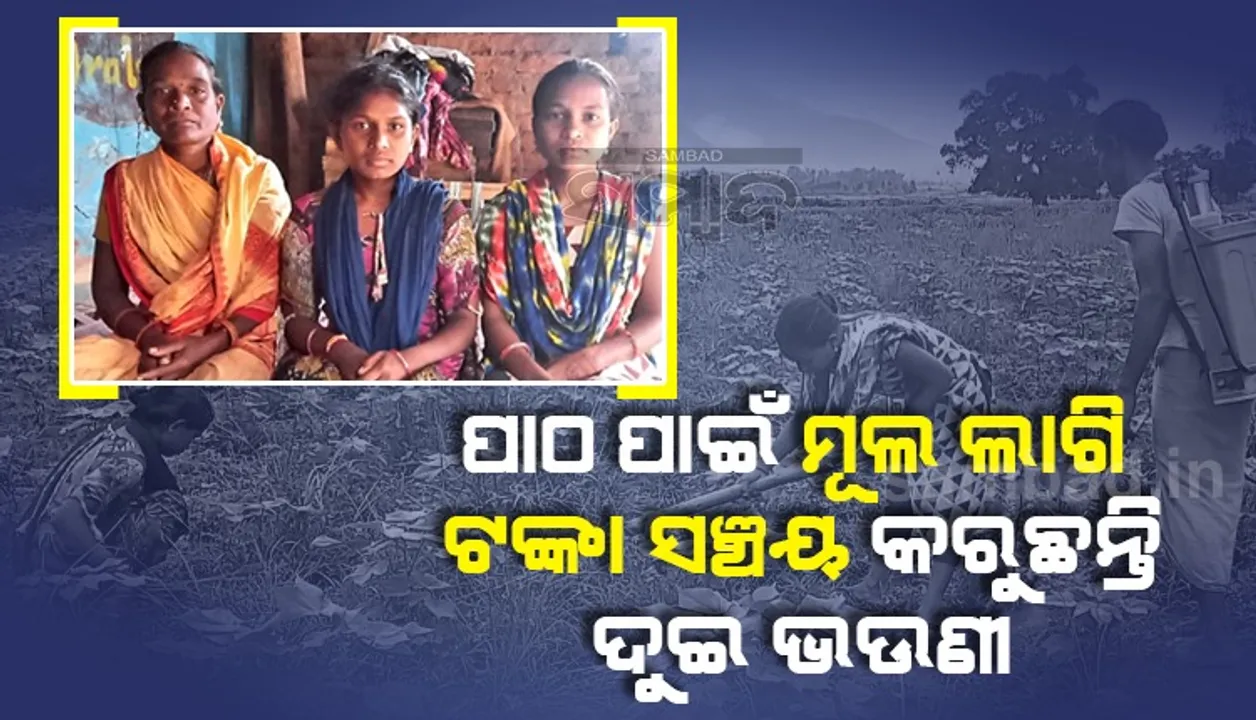  ଉଚ୍ଚ ଶିକ୍ଷା ପାଇଁ ଅର୍ଥ ସାଜିଛି ବାଧକ: ସାନ ଭଉଣୀର ଭବିଷ୍ୟତ ପାଇଁ ପାଠ ଛାଡ଼ିଲା ବଡ଼ 