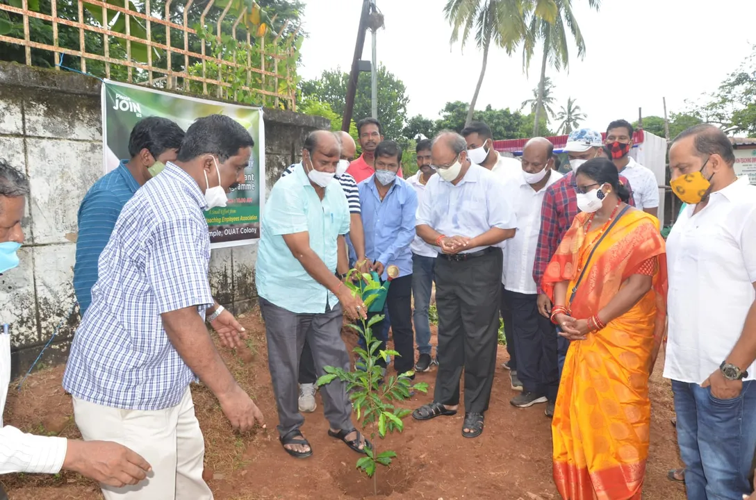  ଓୟୁଏଟି କଲୋନିରେ ବୃକ୍ଷରୋପଣ ଓ ଚାରା ବଣ୍ଟନ କାର୍ଯ୍ୟକ୍ରମ