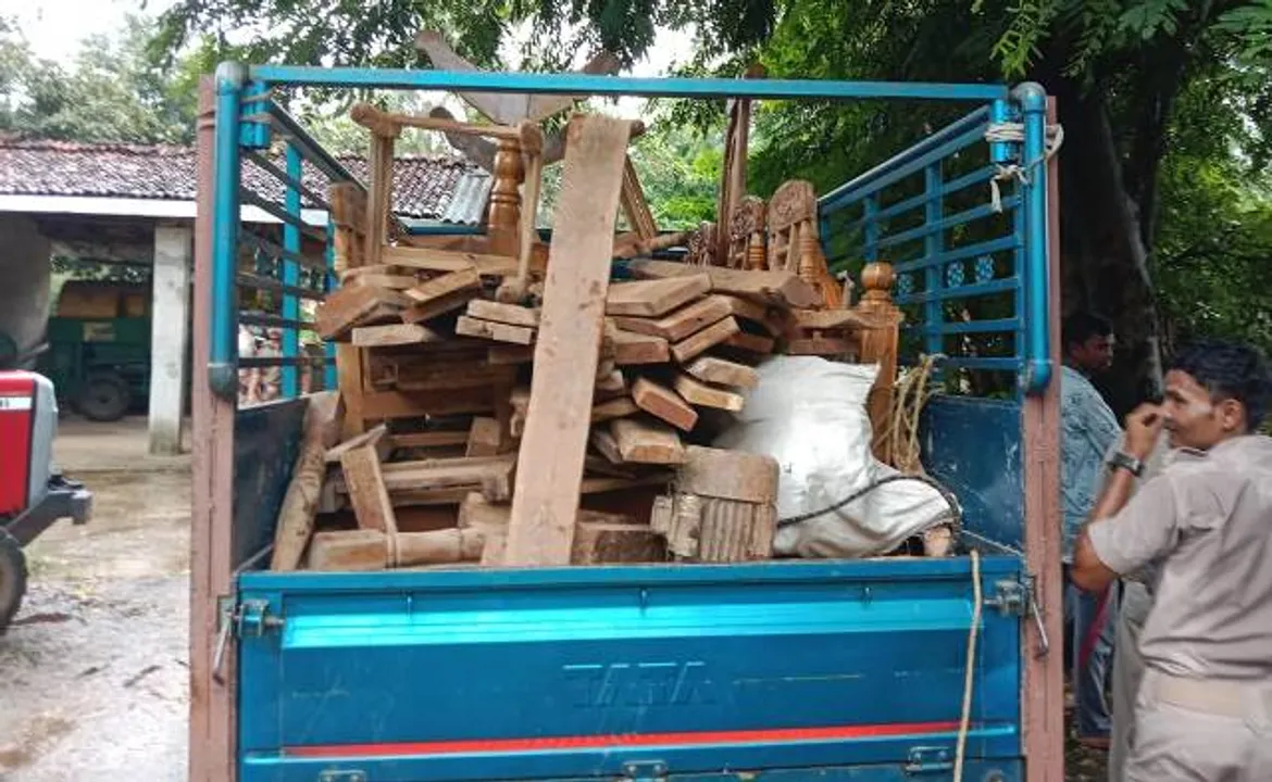  ଲକ୍ଷାଧିକ ଟଙ୍କାର ବେଆଇନ ଶାଗୁଆନ କାଠ ଜବତ