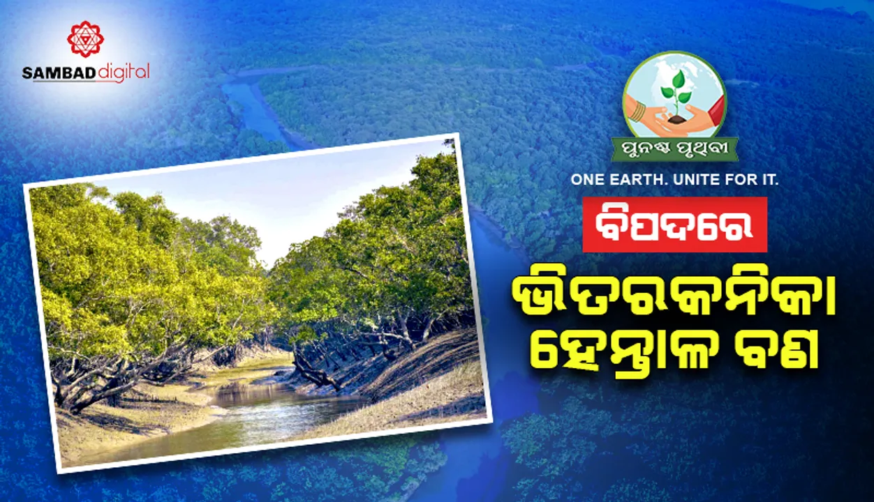  ବିପଦରେ ଭିତରକନିକା ହେନ୍ତାଳ ବଣ, ଜଳର ପରିସଂସ୍ଥାନ ସର୍ଭେ କେବେ?