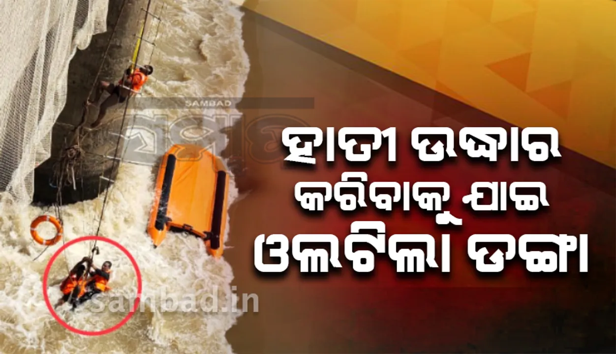  ମୁଣ୍ଡୁଳି ବ୍ୟାରେଜରେ ହାତୀ ଉଦ୍ଧାର ବେଳେ ଅଘଟଣ, ଓଲଟିଲା ଓଡ୍ରାଫର ରବର ଡଙ୍ଗା