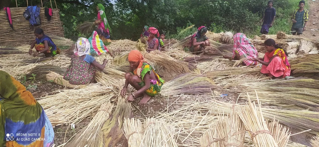  ଦେଢ଼ ଲକ୍ଷ ବିନିଯୋଗ କରି ଲକ୍ଷେ ଟଙ୍କା ରୋଜଗାର, ସ୍ବାବଲମ୍ବୀ ହୋଇଛନ୍ତି ପିଣ୍ଡାମାଳ ଝାଡ଼ୁ ଉତ୍ପାଦକ ଗୋଷ୍ଠୀ 