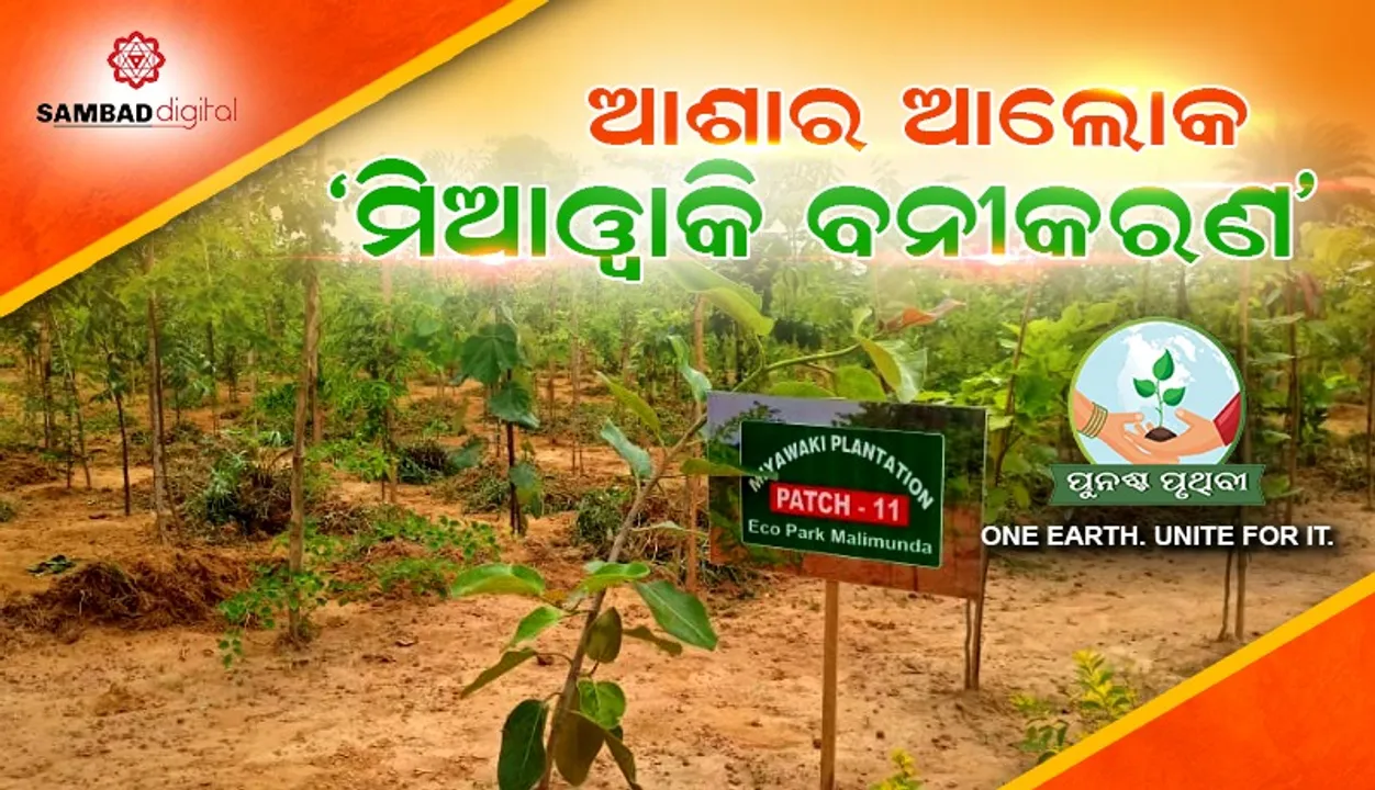 ୨୦୦ ବର୍ଷରେ ସୃଷ୍ଟି ହେଉଥିବା ଜଙ୍ଗଲ ମାତ୍ର ୨୦ରୁ ୩୦ବର୍ଷ ମଧ୍ୟରେ ସୃଷ୍ଟି କରାଯାଇ ପାରିବ !