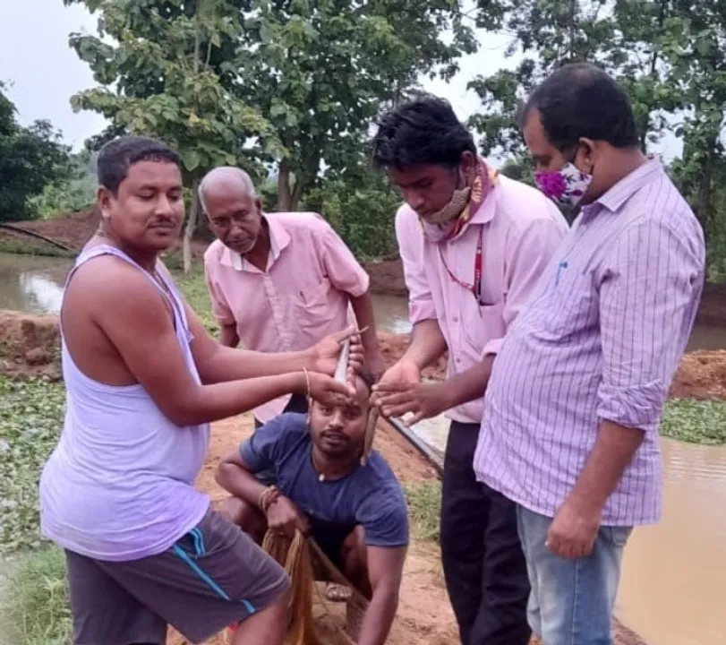  Sambad 