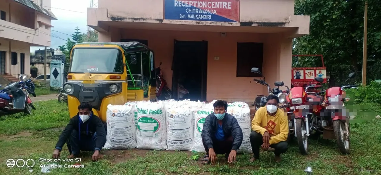  ମାଲକାନଗିରି : ୮୧୧ କିଲୋ ଗଞ୍ଜେଇ ଜବତ, ୭ ଗିରଫ