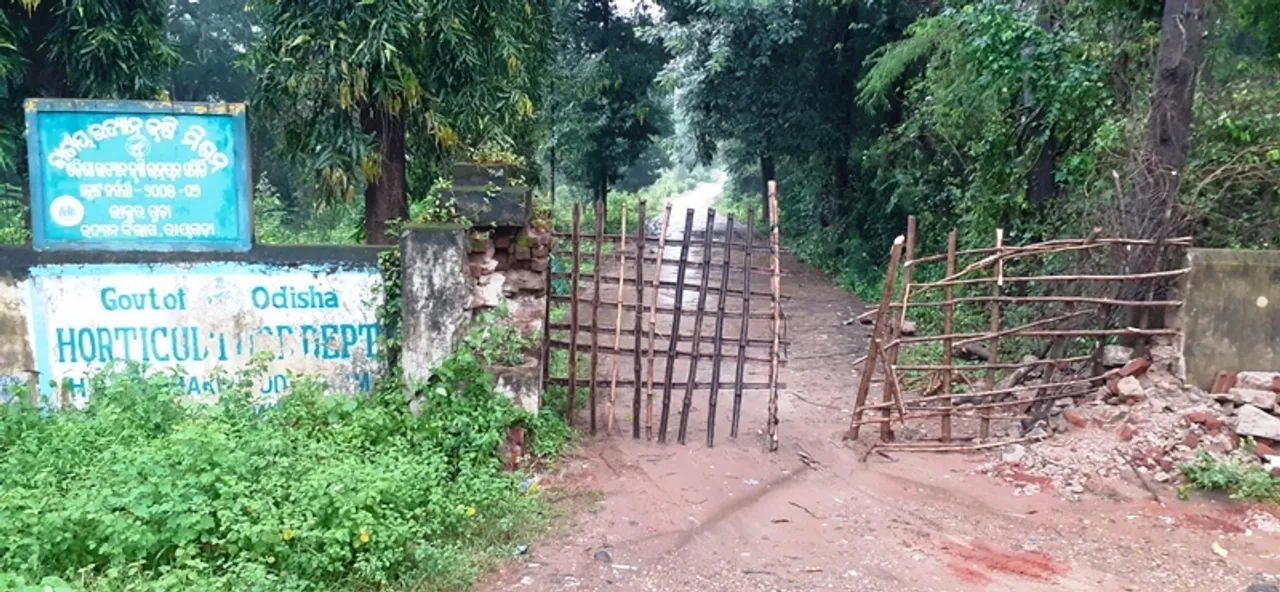  Sambad 