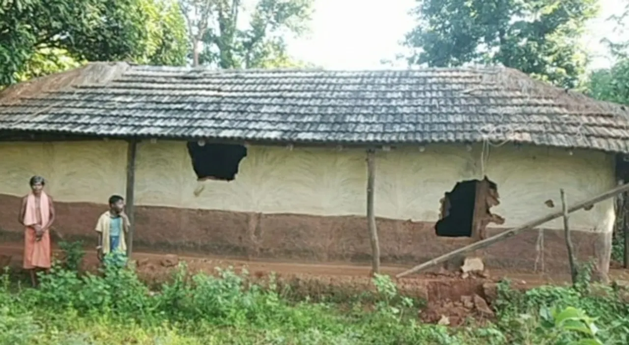  ତେଲକୋଇରେ ଥମୁନି ହାତୀ ଉପଦ୍ରବ: ଦନ୍ତା ଖାଇଗଲା ଧାନ