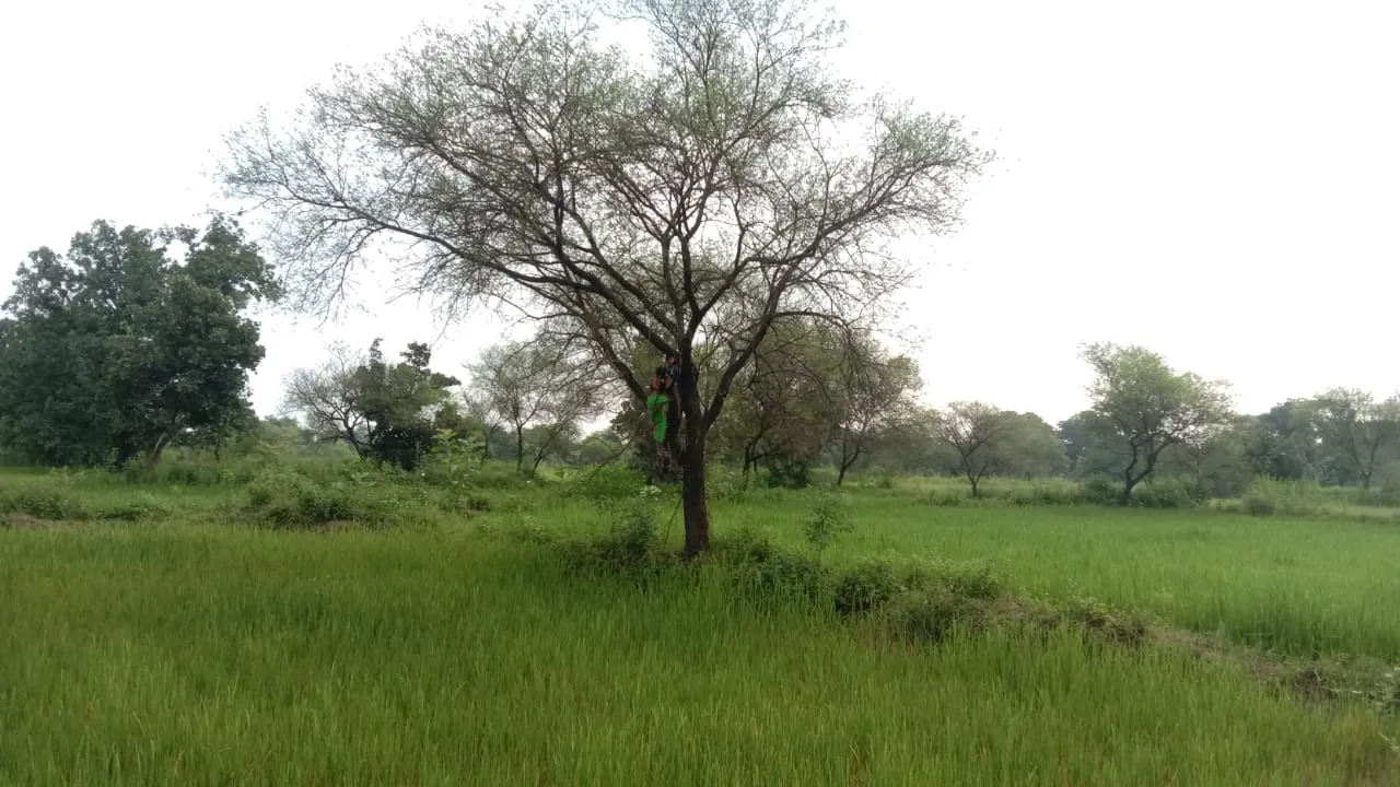  ଚନ୍ଦାହାଣ୍ଡିରେ ବେକରେ ଦଉଡ଼ି ଦେଇ ପ୍ରେମୀଯୁଗଳଙ୍କ ଆତ୍ମହତ୍ୟା