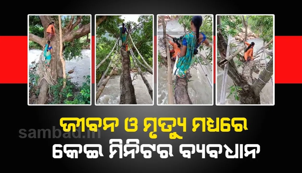  ଗଜପତି: ତବାରସିଂ ପୁତିସାହି ଗ୍ରାମବାସୀଙ୍କ ଦୁଃଖ ବରଗଛ ନାଳ