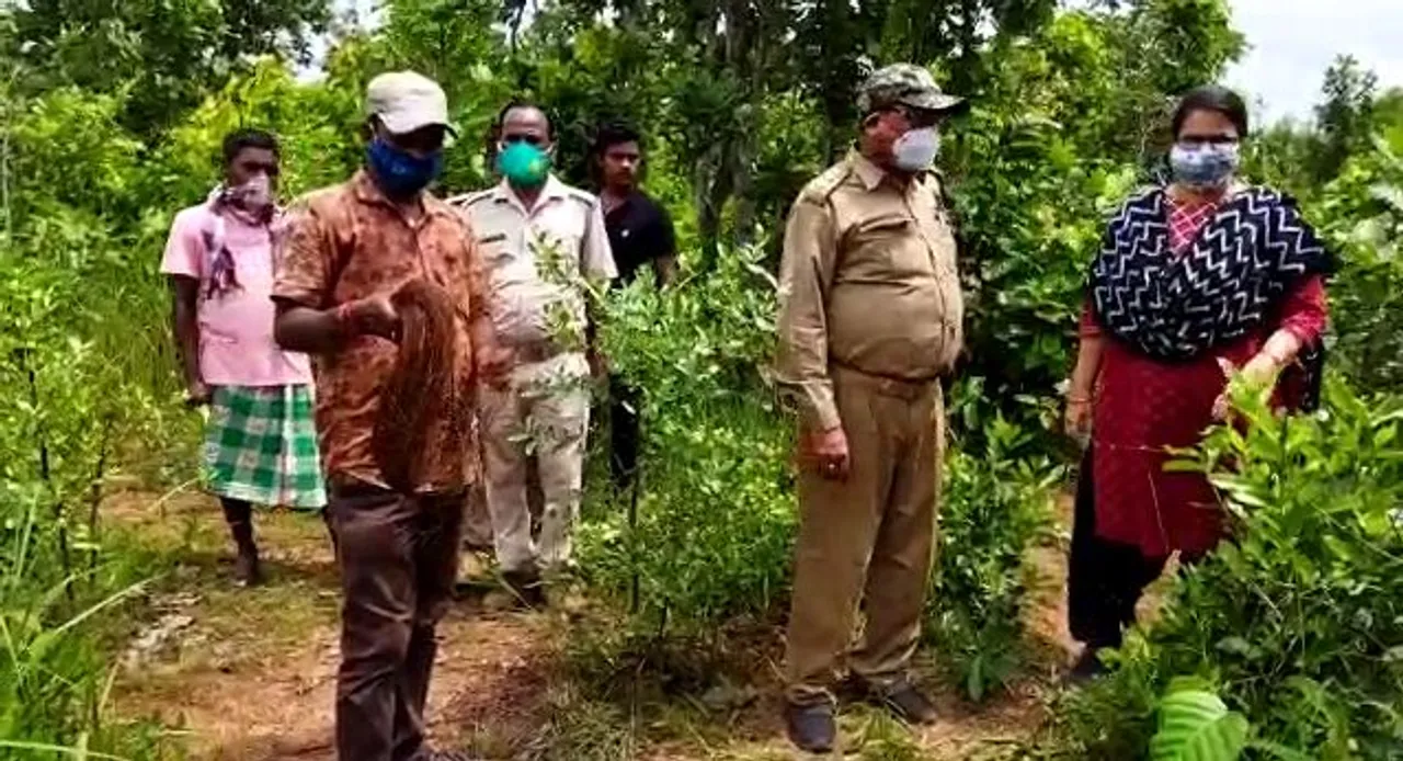  ବିଦ୍ୟୁତ ତାର ସଂସ୍ପର୍ଶରେ ଆସି ହାତୀ ମୃତ