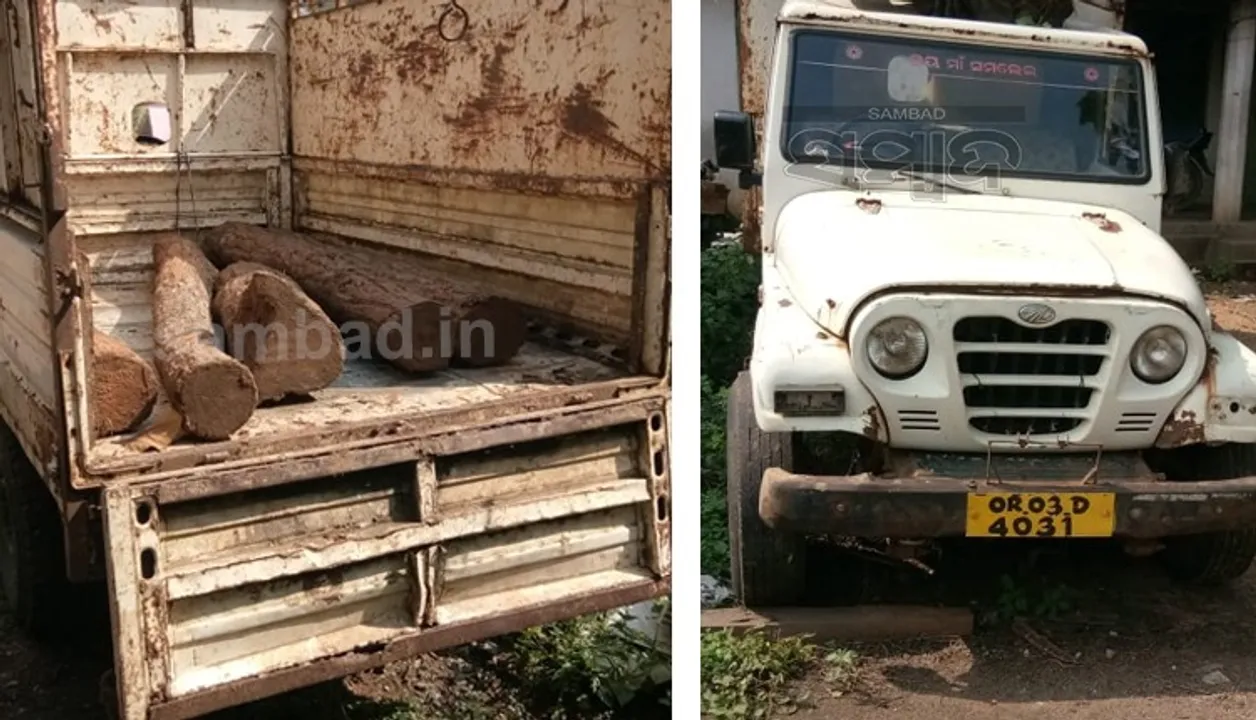  ୫୦ ହଜାର ଟଙ୍କାର ଶାଳ ଗଣ୍ଡି ବୋଝେଇ ପିକ୍‌ଅପ୍‌ ଭ୍ୟାନ୍‌ ଜବତ, ଅଭିଯୁକ୍ତ ଫେରାର