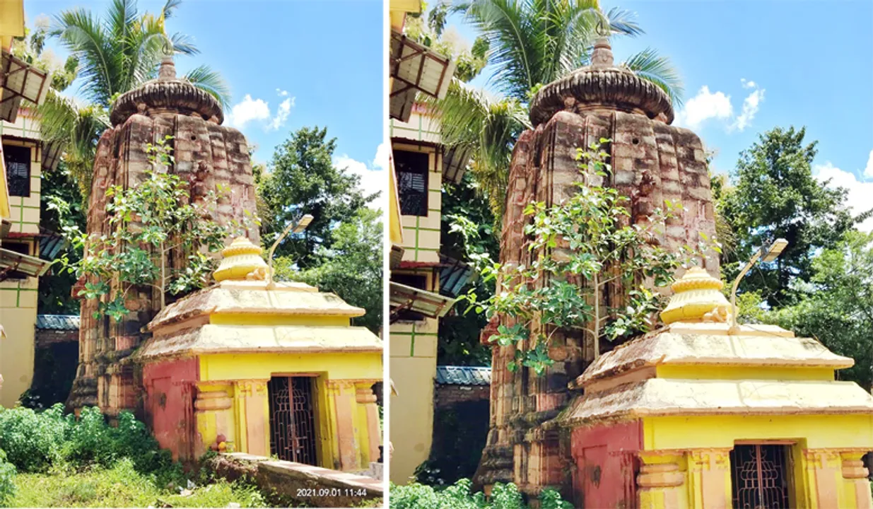  ତୀର୍ଥେଶ୍ବର ମନ୍ଦିର ଉପରେ ବଢ଼ୁଛି ବରଗଛ