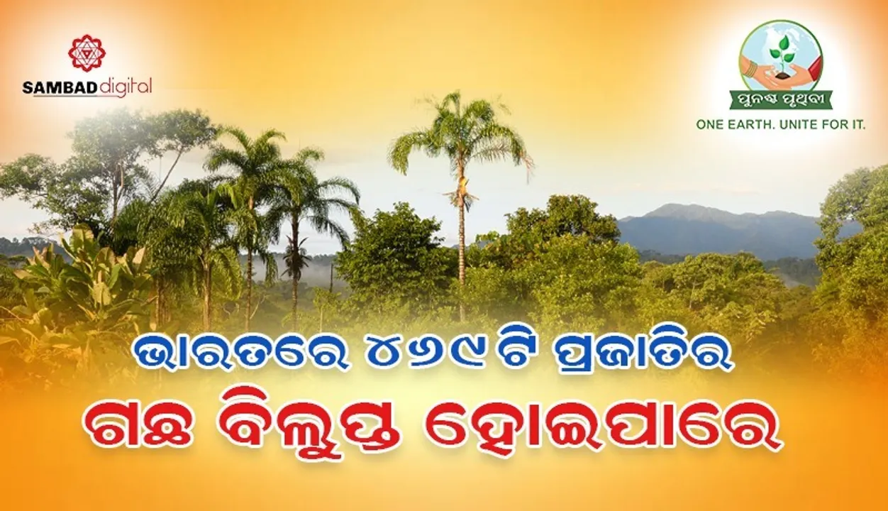  ଏହି ସବୁ କାରଣ ପାଇଁ  ଆମ ଦେଶରେ ୪୬୯ଟି ପ୍ରଜାତିର ଗଛ ବିଲୁପ୍ତ ହୋଇପାରେ !