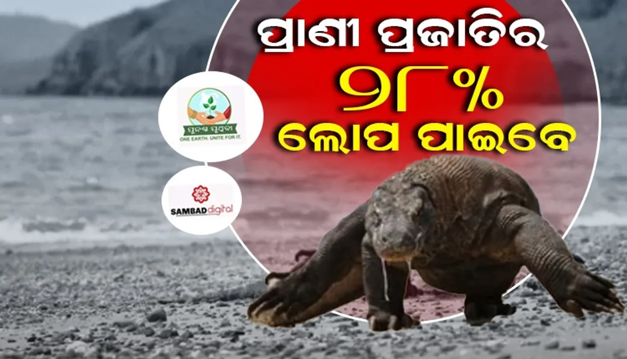  ପାରିବେଶିକ ଅବକ୍ଷୟର ପରିଣତି : ବିଲୁପ୍ତି ଦ୍ବାରଦେଶରେ ୩୮,୦୦୦ ପ୍ରାଣୀ ପ୍ରଜାତି