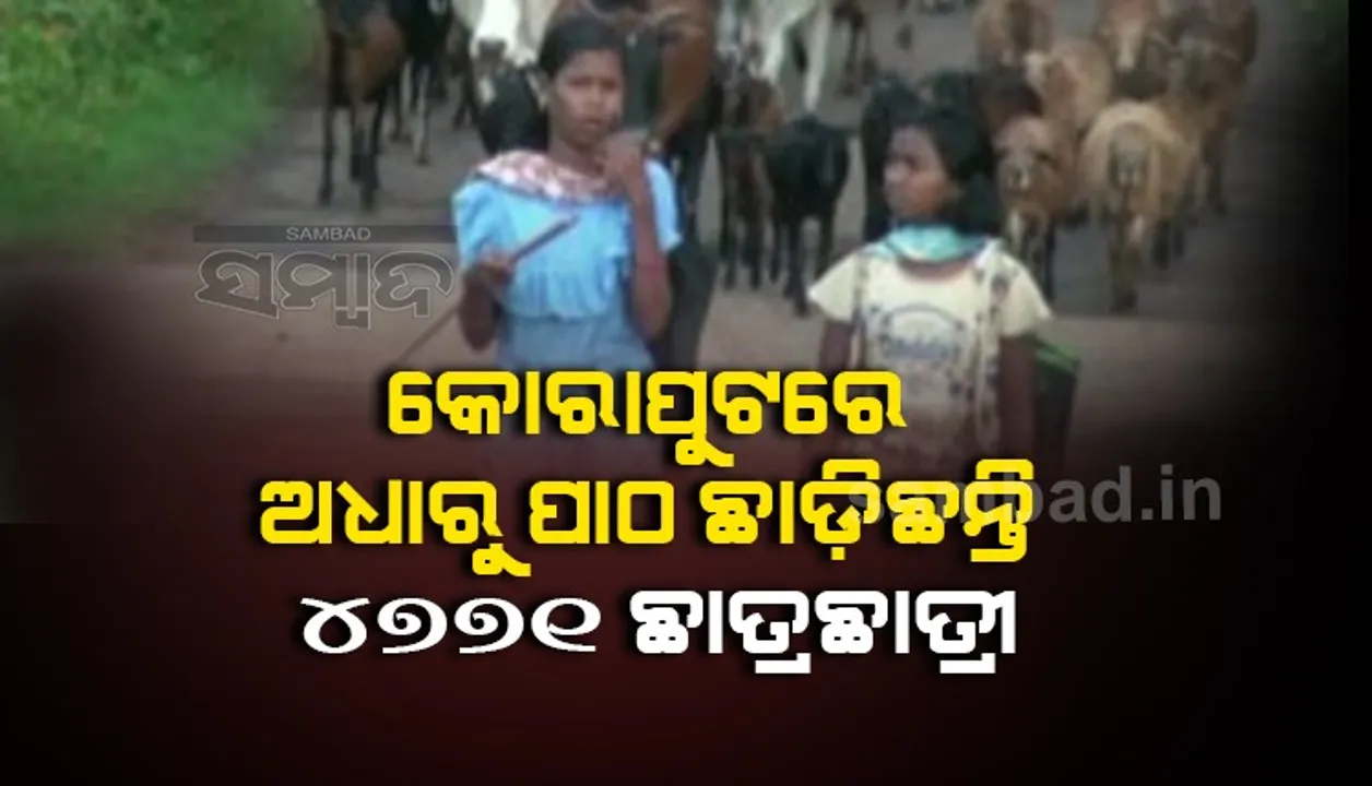  କୋରାପୁଟରେ ଆଣ୍ଠେଇଲାଣି ପ୍ରାଥମିକ ଶିକ୍ଷା ବ୍ୟବସ୍ଥା, ଅ...ଆ... ଛାଡିଛନ୍ତି ୪୭୭୧ ଛାତ୍ରଛାତ୍ରୀ