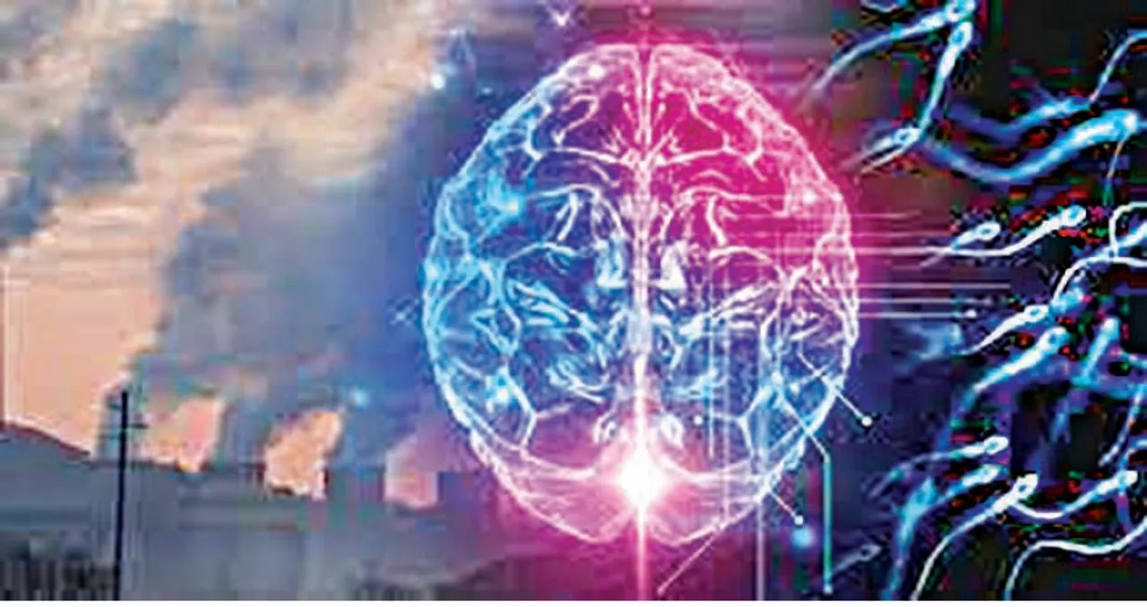  ବାୟୁ ପ୍ରଦୂଷଣ ପ୍ରଜନନ କ୍ଷମତା କମାଉଛି