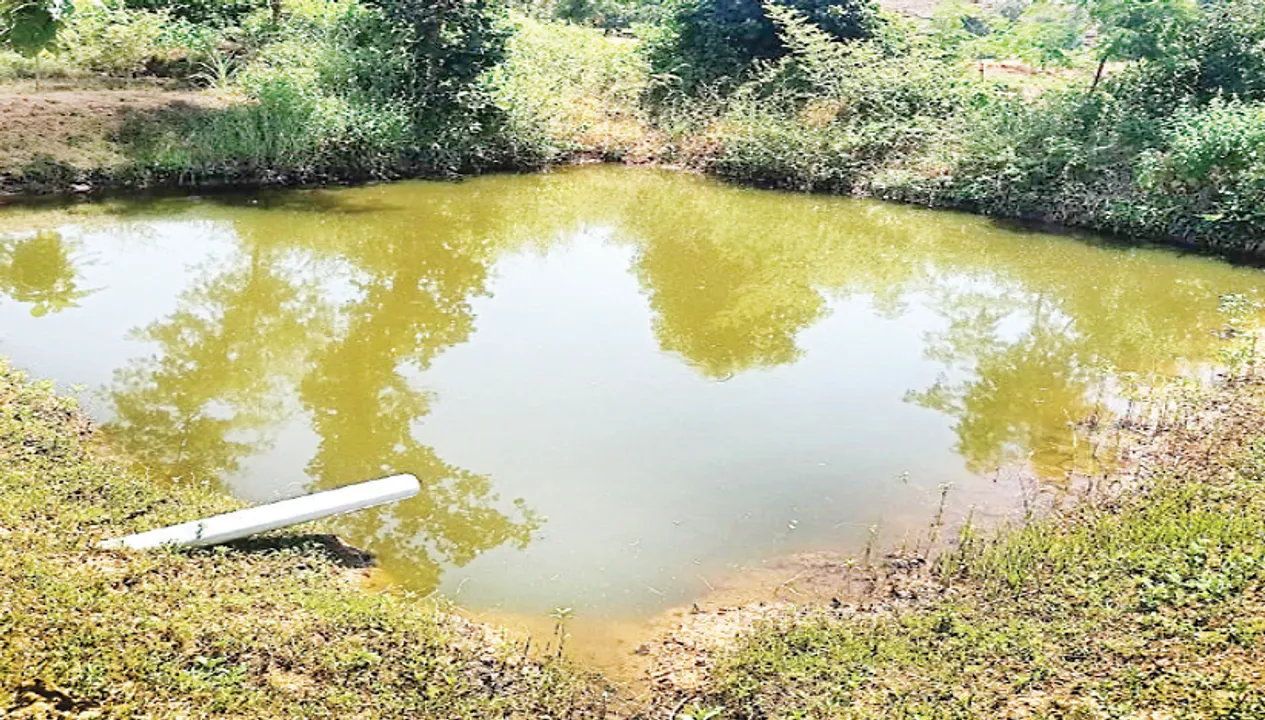  ଓଡ଼ିଶାରେ ବୁନ୍ଦେଲଖଣ୍ଡ ଢାଞ୍ଚାରେ ‘କ୍ଷେତ ପୋଖରୀ’ ଯୋଜନା ପାଇଁ ସୁପାରିସ୍‌