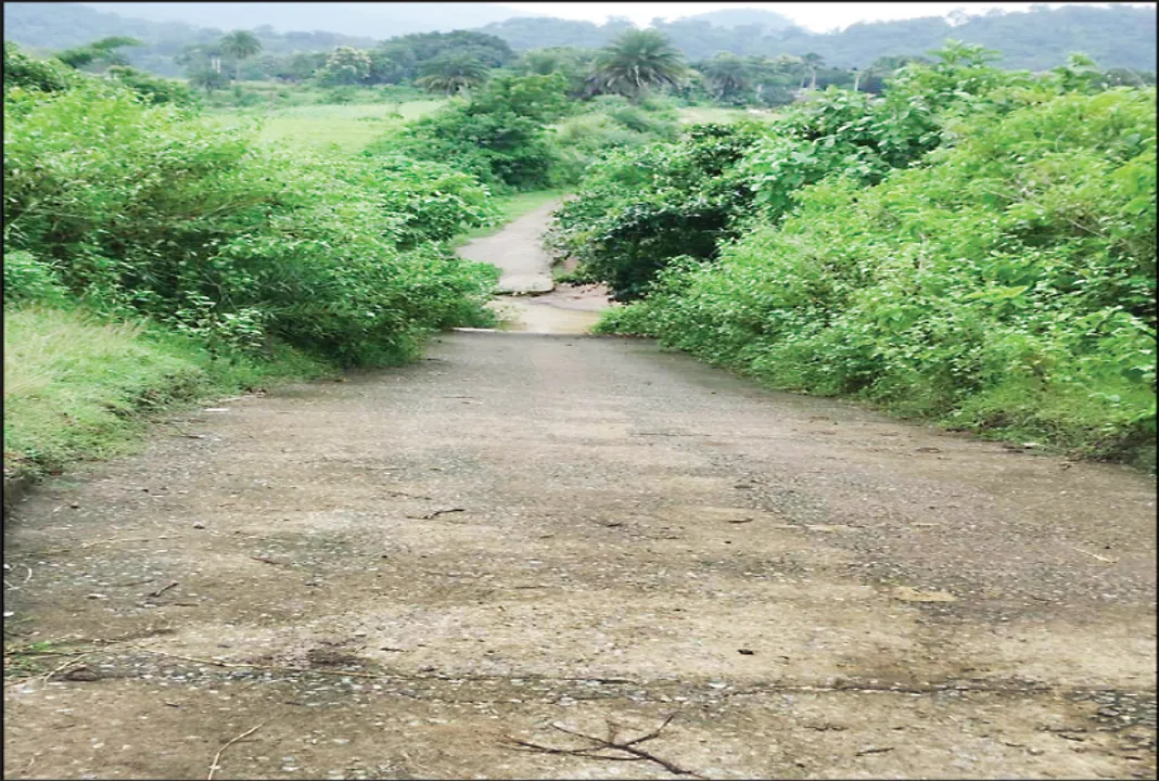  ଅପହଞ୍ଚ ଶିକ୍ଷା, ସ୍ବାସ୍ଥ୍ୟ, ପାନୀୟ ଜଳ: ଯାତାୟାତରେ ବାଧକ କଳସା ନାଳ