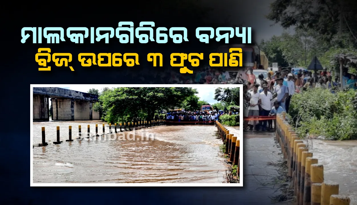  ମାଲକାନଗିରିରେ ପ୍ରବଳ ବର୍ଷା, ଏମଭି-୭ ବ୍ରିଜ ଉପରେ ତିନି ଫୁଟ୍‌ ପାଣି ପ୍ରବାହିତ