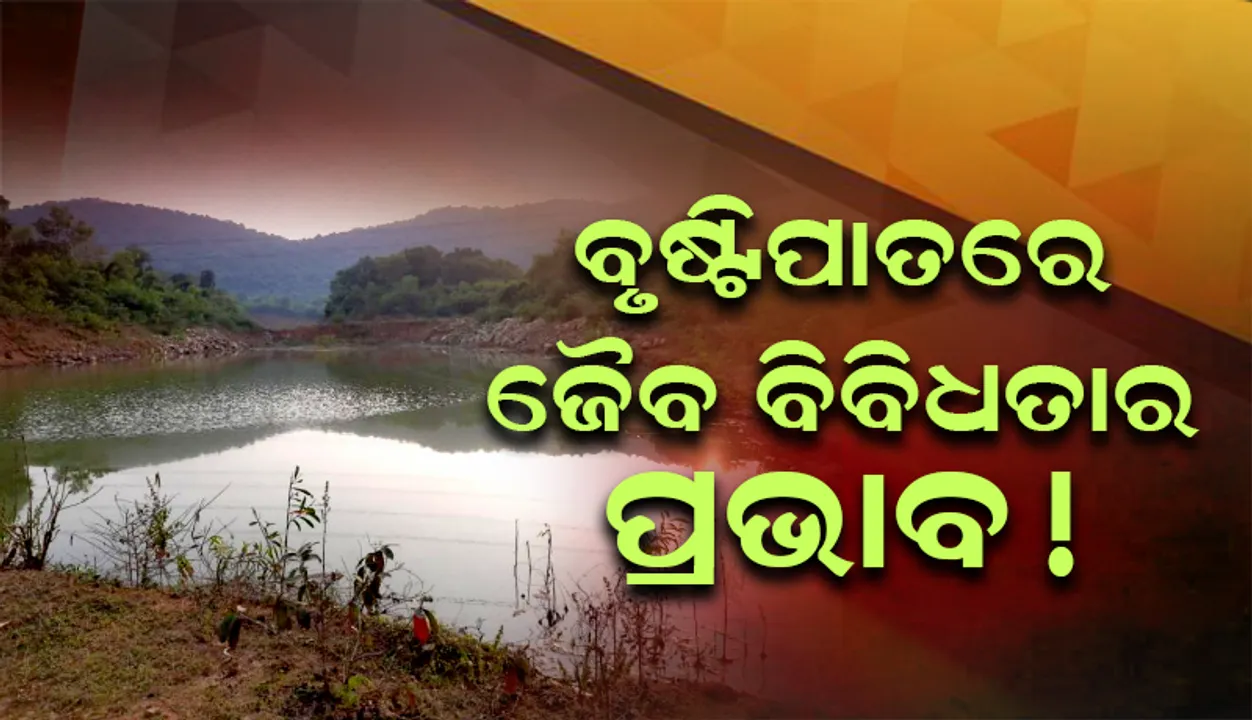 ଏବର୍ଷର ସ୍ବଳ୍ପ ବୃଷ୍ଟିପାତ ଭୟଙ୍କର ଜଳକଷ୍ଟର କାରଣ ହେବ 