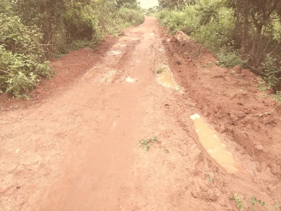  ସିକୋ-ନିଧିପୁର ରାସ୍ତା, ପାଲଟିଛି ମରଣଯନ୍ତା