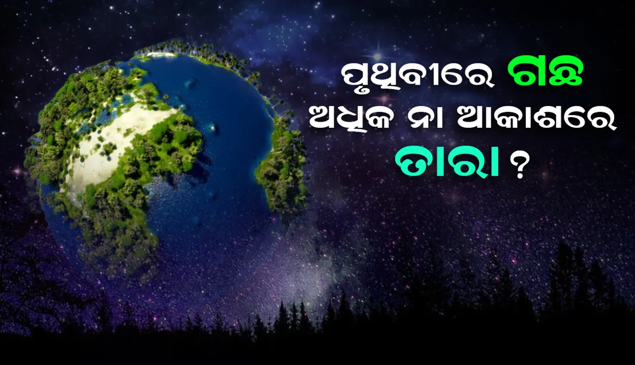  ପୃଥିବୀରେ ଗଛ ଅଧିକ ଅଛି ନା ଆକାଶରେ ତାରା? ଜାଣନ୍ତୁ କ'ଣ କହୁଛି ଅନୁସନ୍ଧାନ