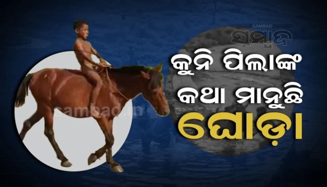  Sambad 