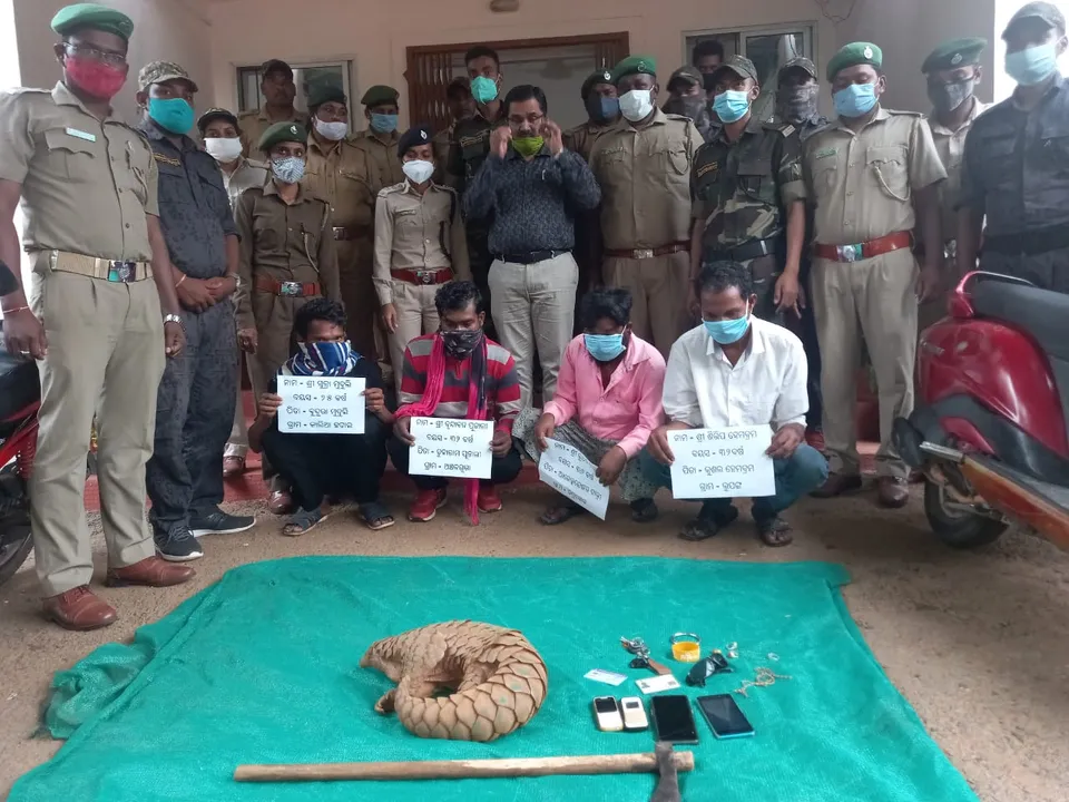  ବଜ୍ରକାପ୍ତା ଉଦ୍ଧାର, ୪ ଗିରଫ