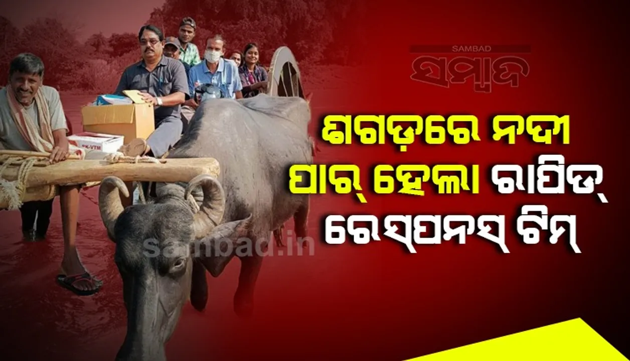  ଅନିଜାରୁ ୧୫୩ ସ୍ବାବ ସଂଗ୍ରହ, ୫୩ ନମୁନା ନେଗେଟିଭ୍  