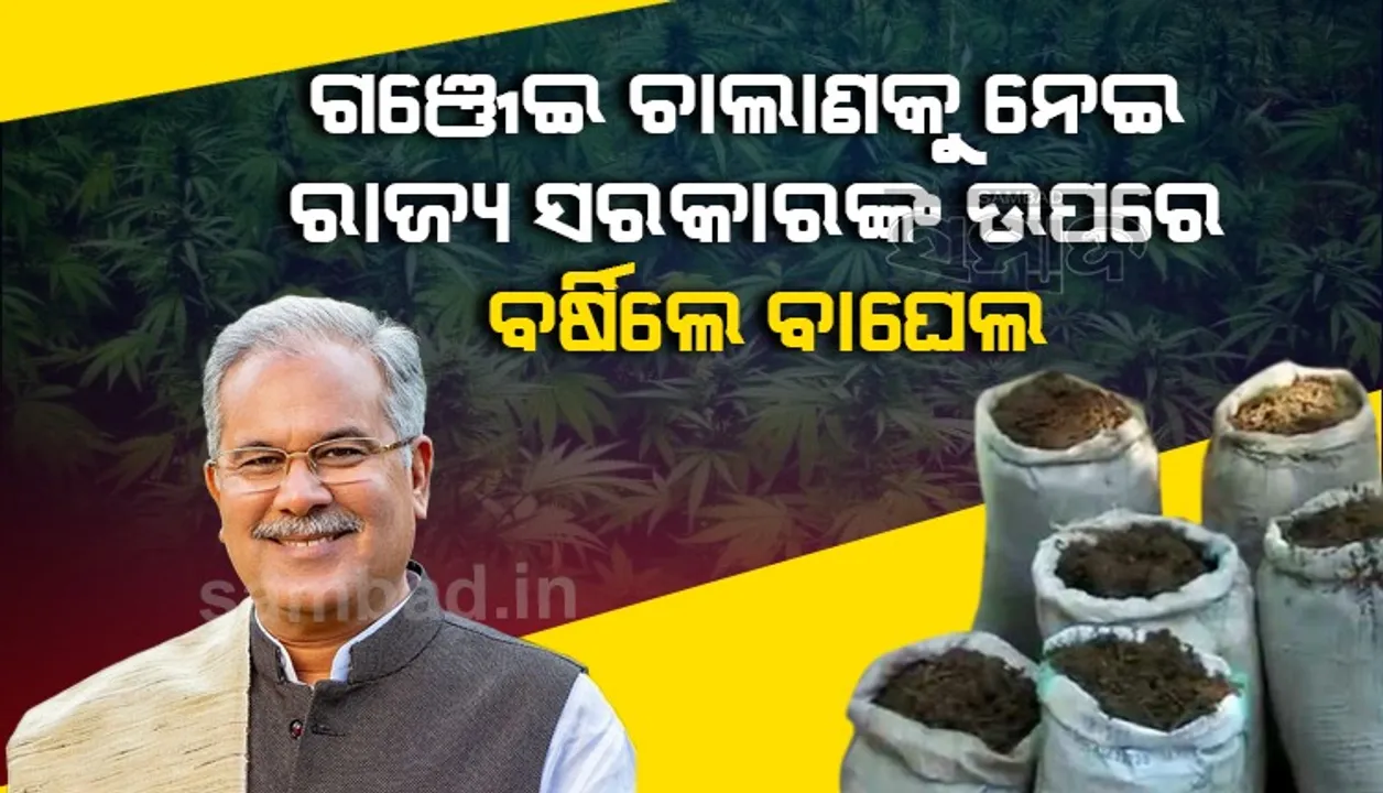  ଓଡ଼ିଶାରୁ ଆସିଥିବା ଗଞ୍ଜେଇ ଗାଡ଼ି ଯୋଗୁଁ ଜୀବନ ଗଲା: ଭୁପେଶ ବାଘେଲ