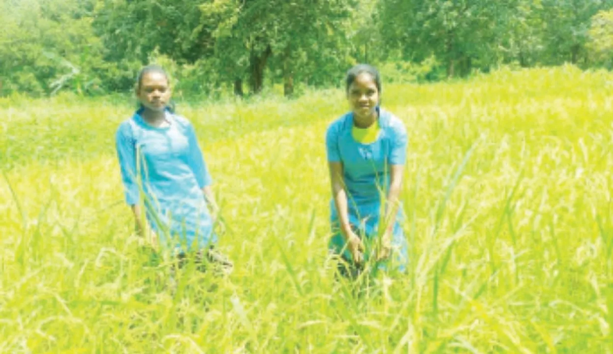  ଦୃଢ଼ ଇଚ୍ଛାଶକ୍ତି ଆଗରେ ହାର୍ ମାନିଛି ଅଭାବ: ପାଠ ପାଇଁ ମୂଲ ଲାଗୁଛନ୍ତି ଛାତ୍ରୀ