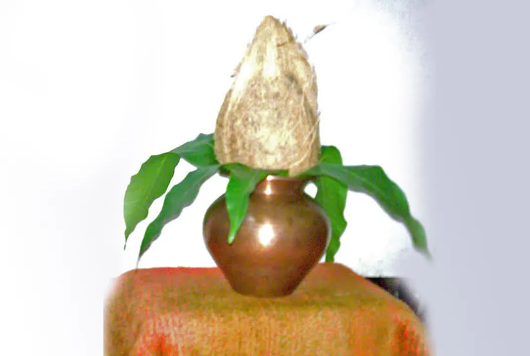  କଳସ ଉପରେ ଆମ୍ବଡାଳ